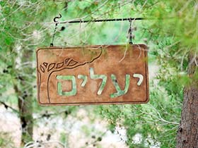 יעלים עין יעל-מרכז טיפול רגשי בגישת טבע-תרפיה - מדריכי הורים  ירושלים